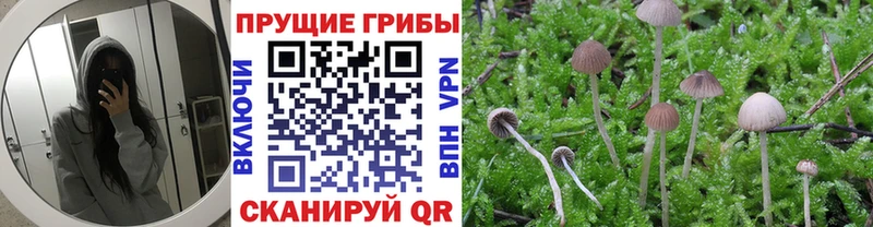 Псилоцибиновые грибы ЛСД  Купить  Усть-Кут 
